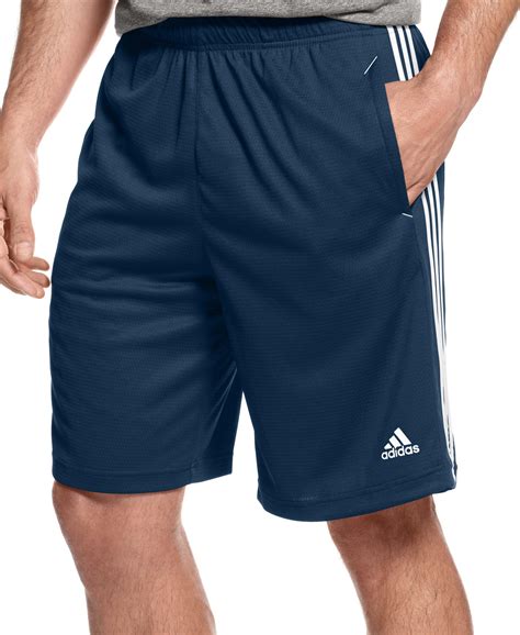 adidas climalite shorts outdated.